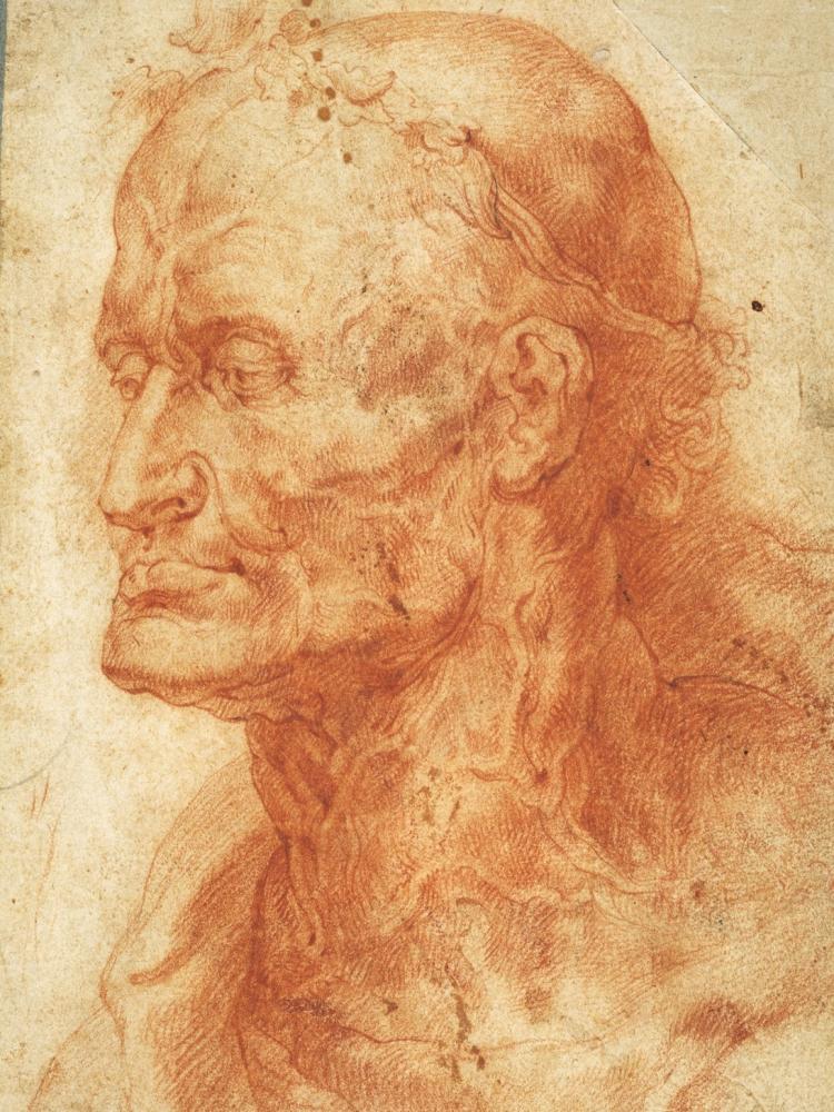 Peter Paul Rubens, Head of an old man, 1601-1602, Rubenshuis, public domain