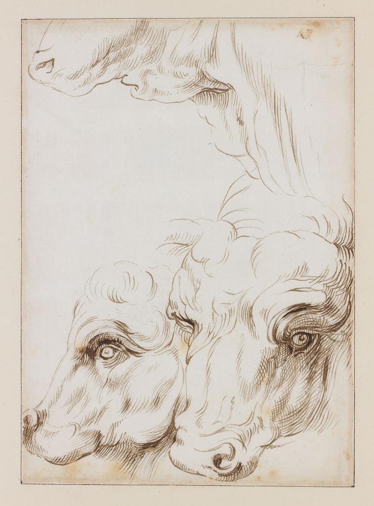 Onbekende kunstenaar naar Rubens, De Ganay-manuscript, 2de helft 17de eeuw, Koning Boudewijnstichting, in langdurig bruikleen aan het Rubenshuis, publiek domein