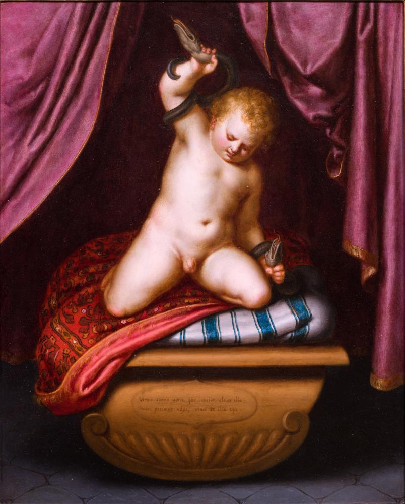 Otto van Veen, De kleine Hercules worstelt met een slang, Collectie Stad Antwerpen, Rubenshuis, publiek domein
