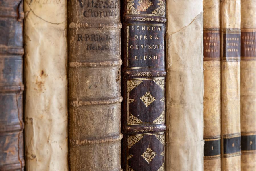 Rubens, l'amoureux des livres