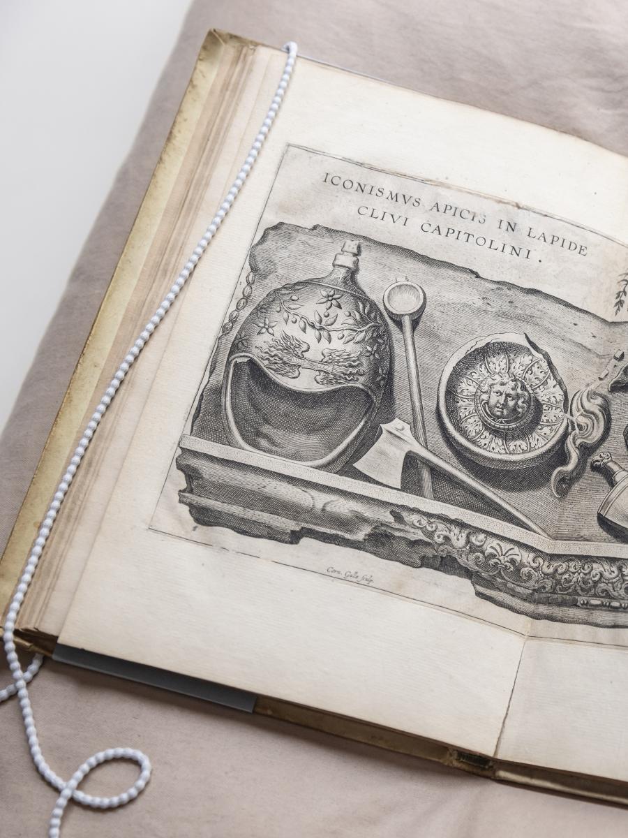 Geïllustreerde boeken naar Rubens