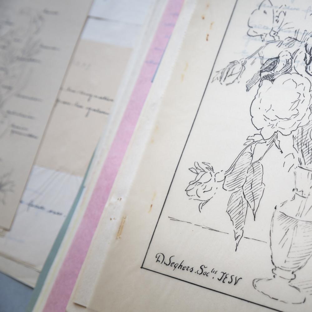 Collection Marie-Louise Hairs 