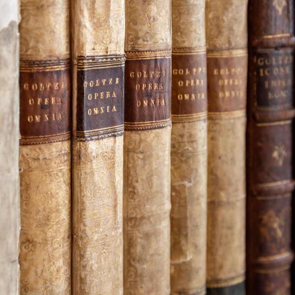 Die Bibliothek wird erweitert 