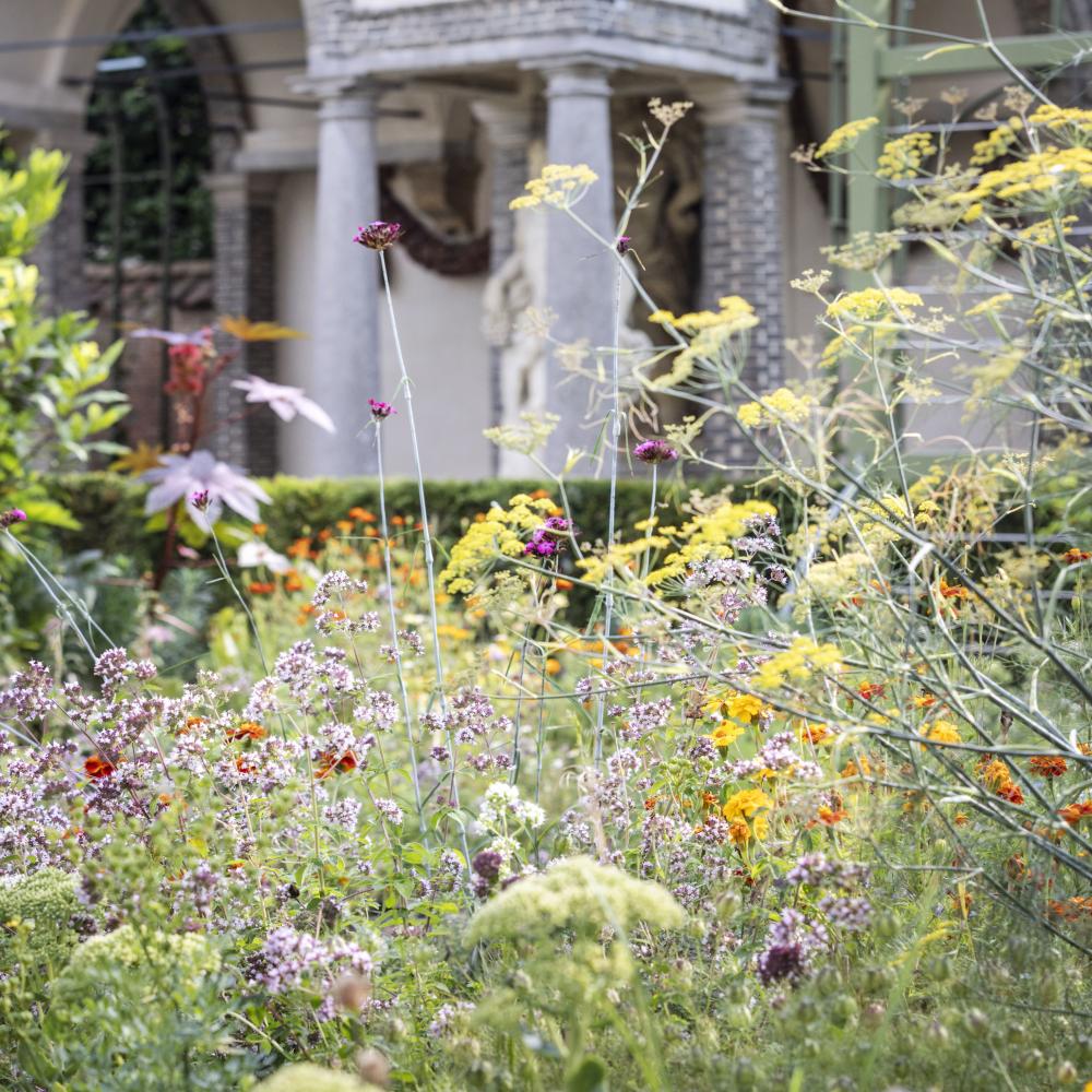 Ihre veranstaltung im Rubenshuis?