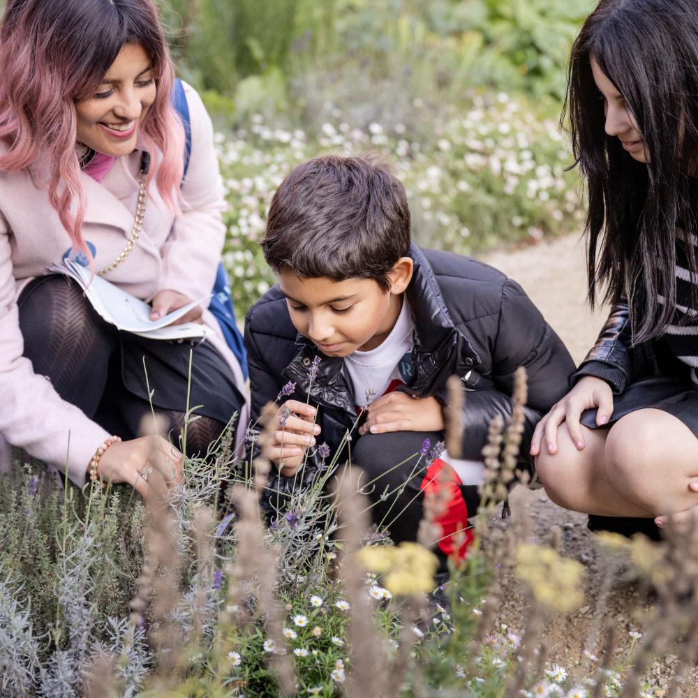 Zoektocht voor kleine avonturiers