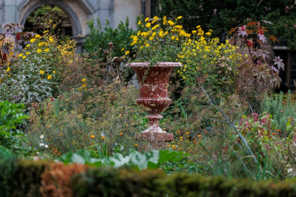 Kruidenwandeling in Rubens' tuin