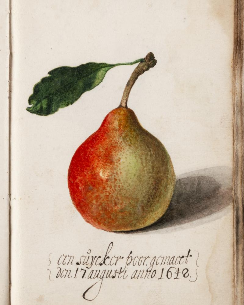 Workshop: Maak je eigen fruitbomen